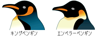 エンペラーペンギン属の識別図