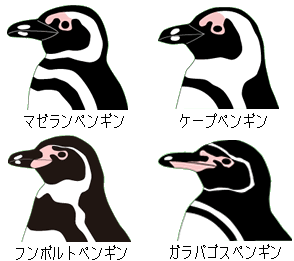 柄パ牛頭ペンギン属の識別図
