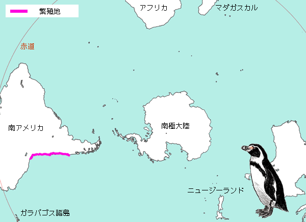 フンボルトペンギンの繁殖地