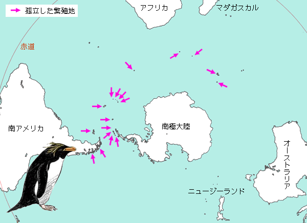 マカロニペンギンの繁殖地